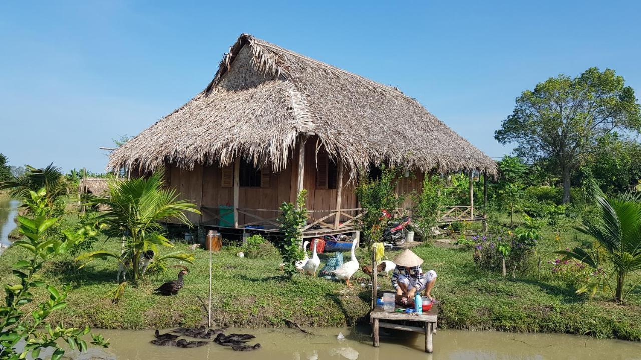 Mekong Delta Ricefield