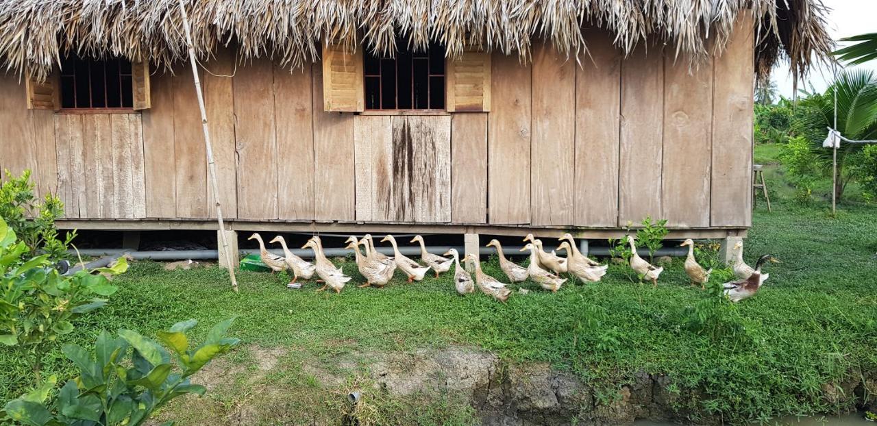 Bauernhof Mekong Delta Ricefield Cần Thơ