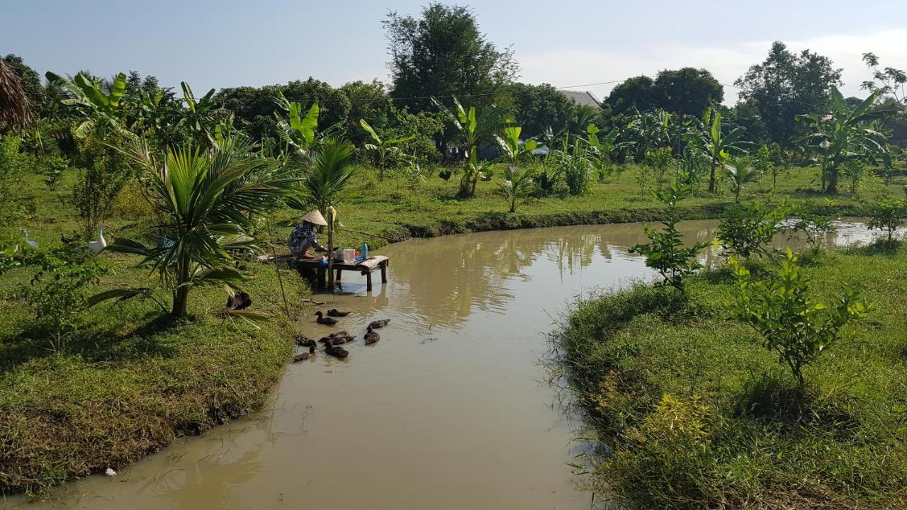 Bauernhof Mekong Delta Ricefield