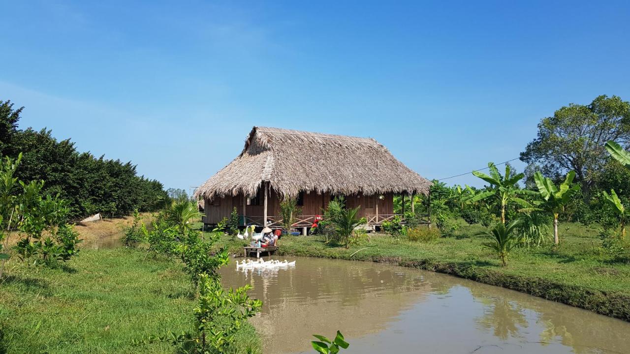 Mekong Delta Ricefield *