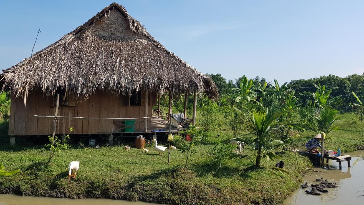 Mekong Delta Ricefield *