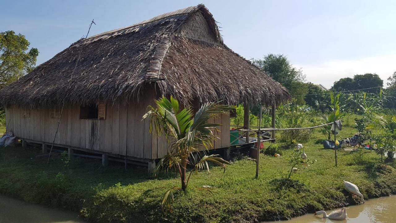 Bauernhof Mekong Delta Ricefield *