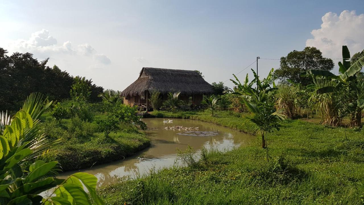 Bauernhof Mekong Delta Ricefield *