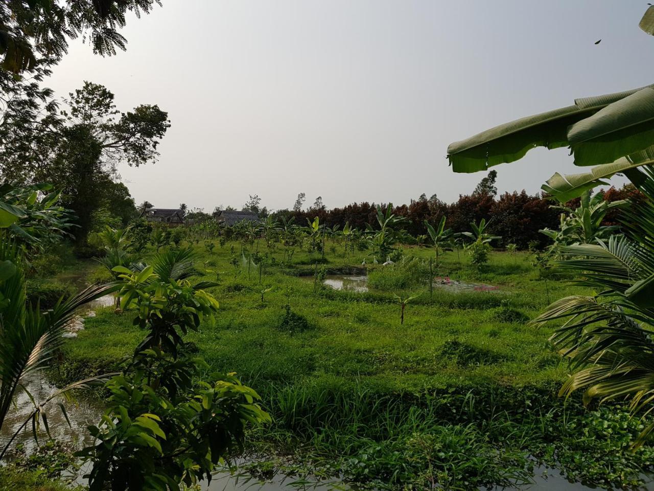 Bauernhof Mekong Delta Ricefield *